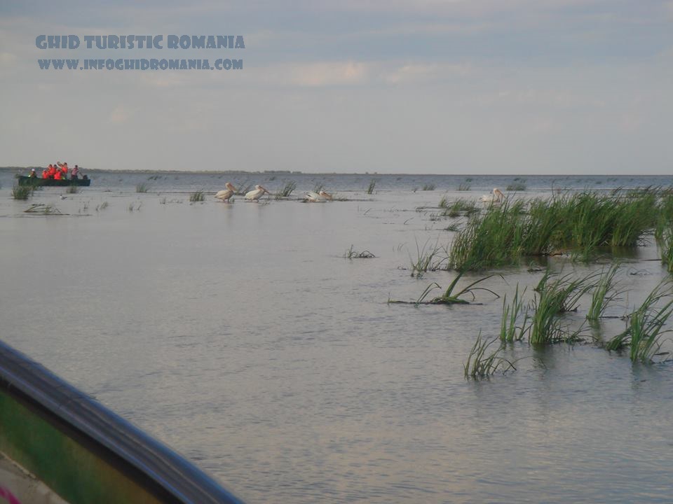Pescaturismul - un nou concept de vacanta in Delta Dunarii