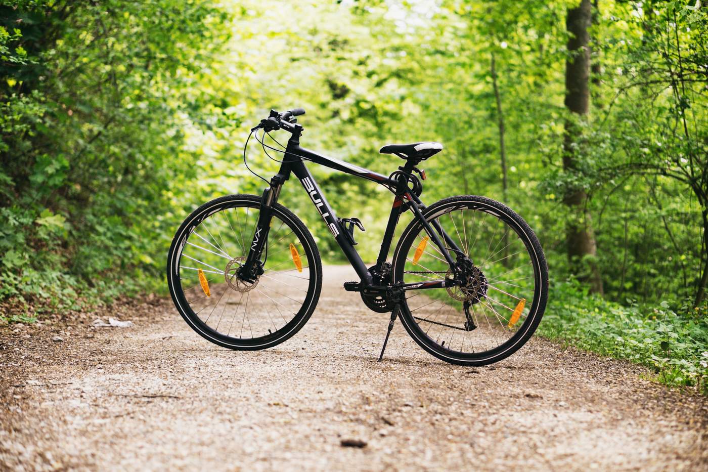 Biciclete gratuite in parcurile Herastrau si Kiseleff din Bucuresti