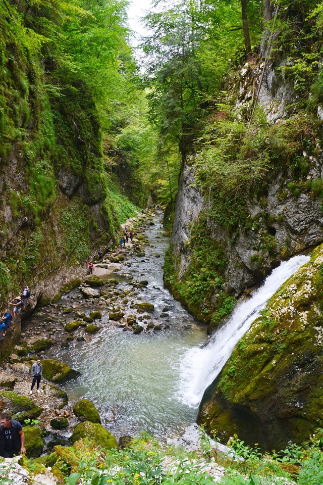 Cascada in Valea Galbenei, Muntii Bihor, foto Liviu Valenas, septembrie 2019